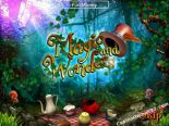 jocuri casino aparate Magic And Wonders SkillOnNet